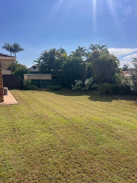 Mown back yard with mowing stripes and trees beyond