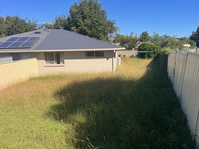 Side yard before the clean-up, with tall grass along the fence
